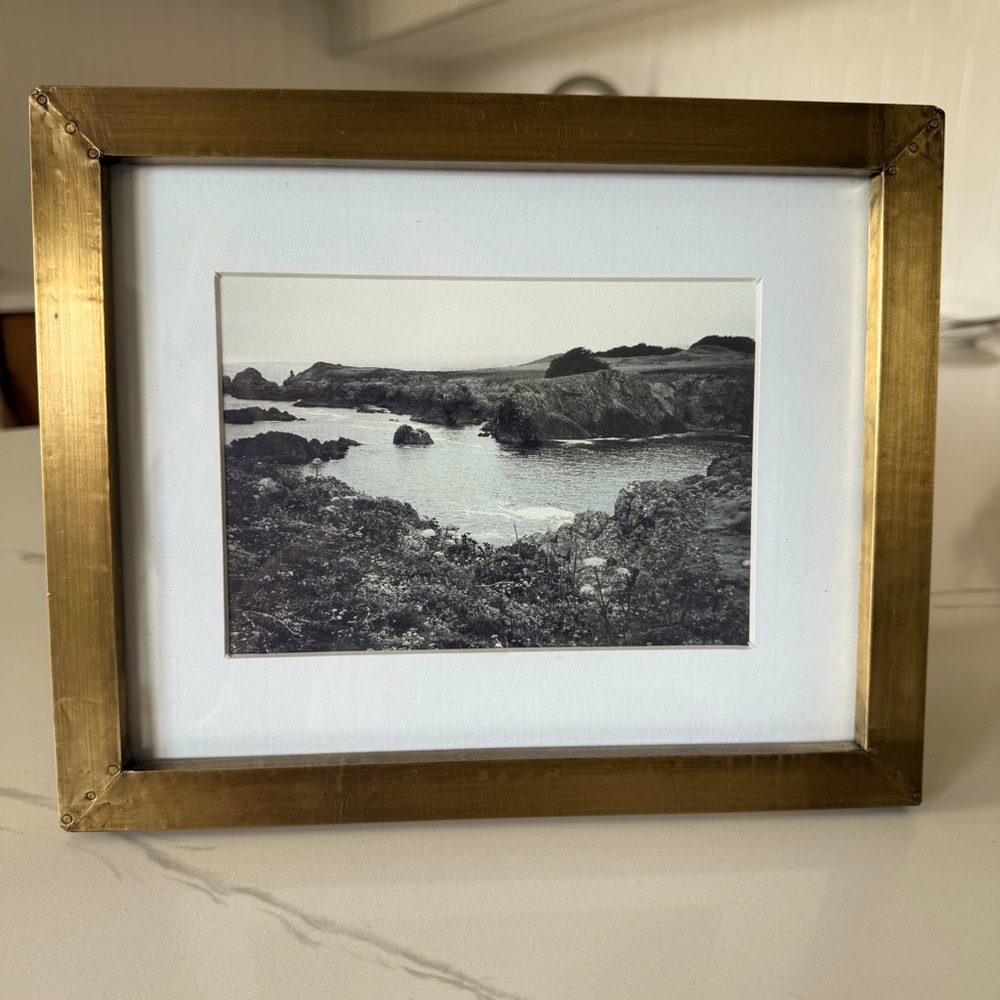 World Market 5x7 Gold Picture Frame